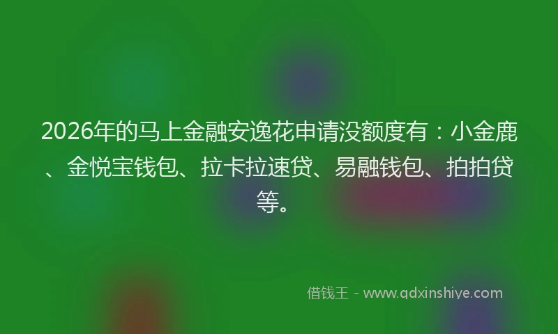 2026年的马上金融安逸花申请没额度有：小金鹿、金悦宝钱包、拉卡拉速贷、易融钱包、拍拍贷等。
