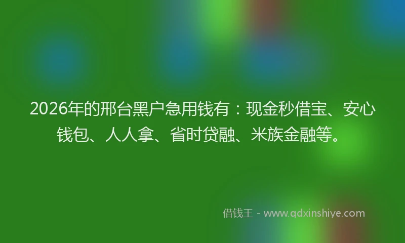 2026年的邢台黑户急用钱有：现金秒借宝、安心钱包、人人拿、省时贷融、米族金融等。