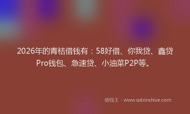 2026年的青桔借钱有：58好借、你我贷、鑫贷Pro钱包、急速贷、小油菜P2P等。