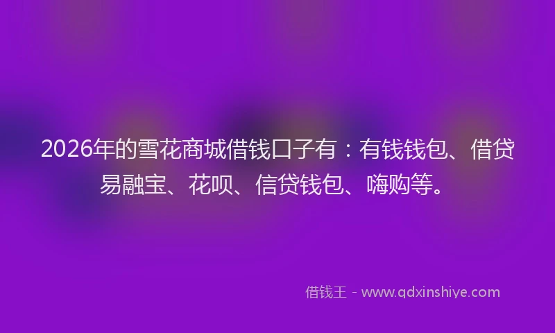 2026年的雪花商城借钱口子有：有钱钱包、借贷易融宝、花呗、信贷钱包、嗨购等。