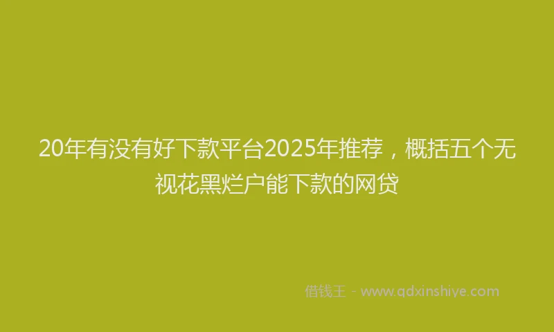 20年有没有好下款平台2025年推荐，概括五个无视花黑烂户能下款的网贷