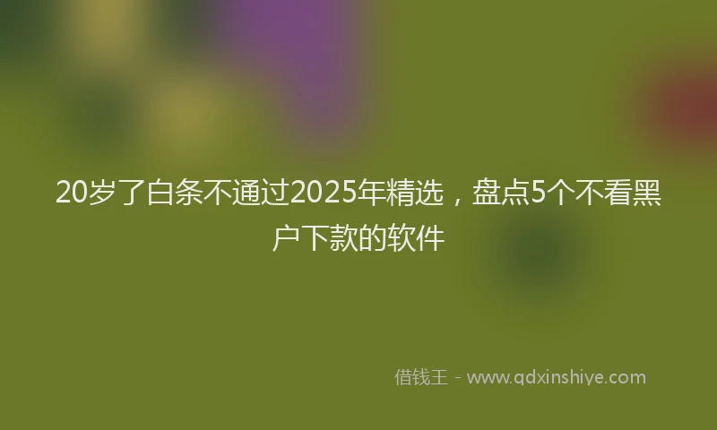 20岁了白条不通过2025年精选，盘点5个不看黑户下款的软件