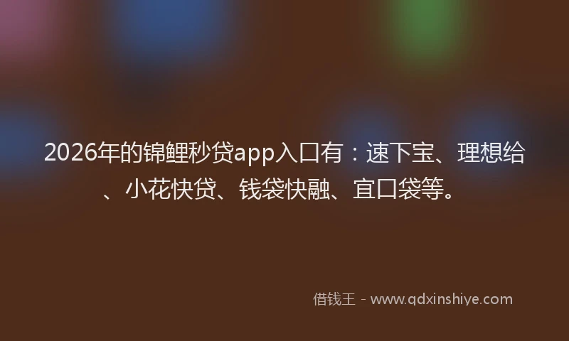 2026年的锦鲤秒贷app入口有:速下宝、理想给、小花快贷、钱袋快融、宜口袋等。