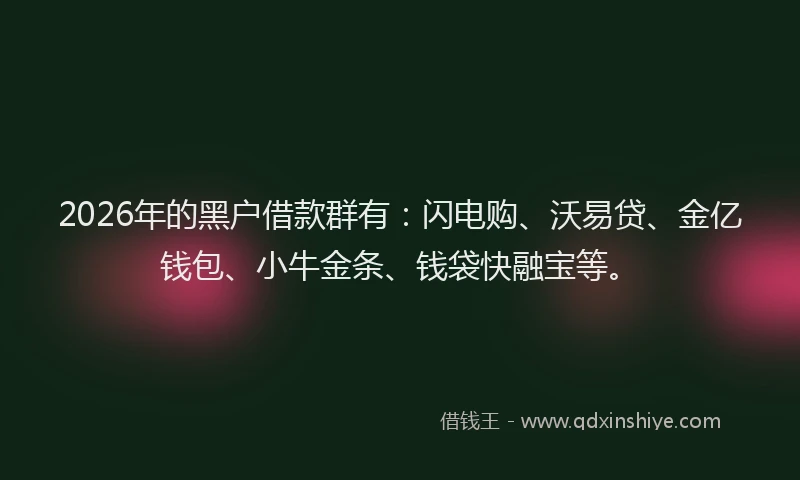 2026年的黑户借款群有：闪电购、沃易贷、金亿钱包、小牛金条、钱袋快融宝等。