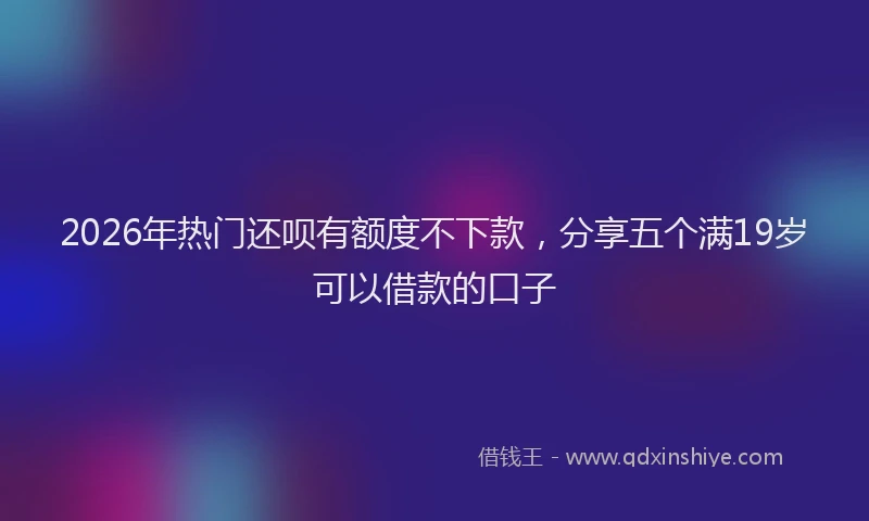2026年热门还呗有额度不下款，分享五个满19岁可以借款的口子