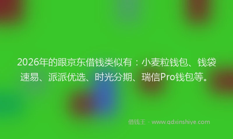 2026年的跟京东借钱类似有：小麦粒钱包、钱袋速易、派派优选、时光分期、瑞信Pro钱包等。