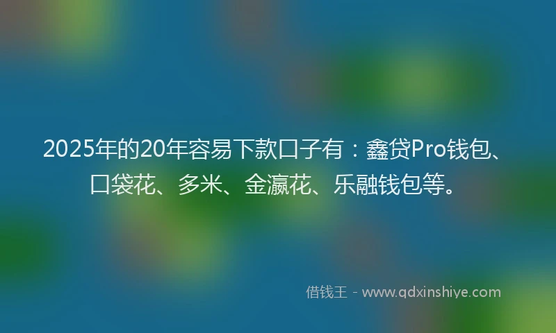 2025年的20年容易下款口子有：鑫贷Pro钱包、口袋花、多米、金瀛花、乐融钱包等。