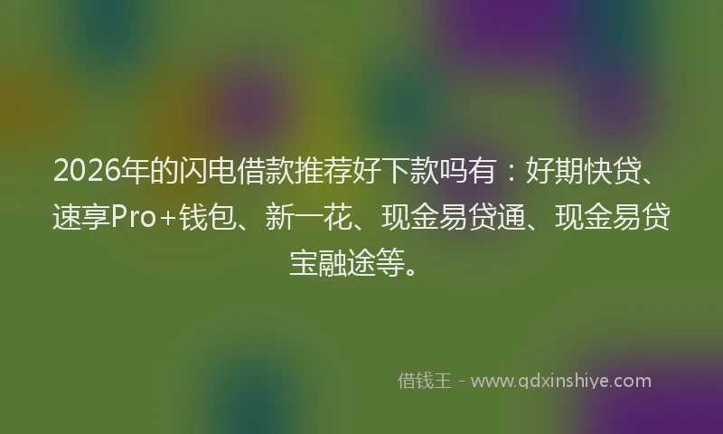 2026年的闪电借款推荐好下款吗有:好期快贷、速享Pro+钱包、新一花、现金易贷通、现金易贷宝融途等。