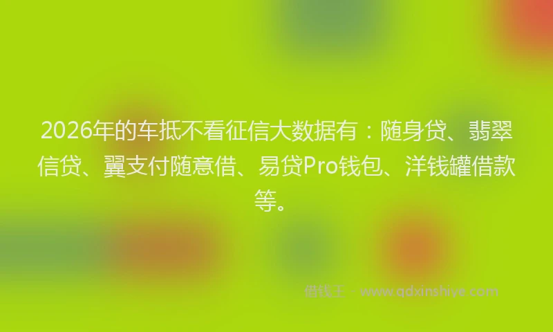 2026年的车抵不看征信大数据有：随身贷、翡翠信贷、翼支付随意借、易贷Pro钱包、洋钱罐借款等。