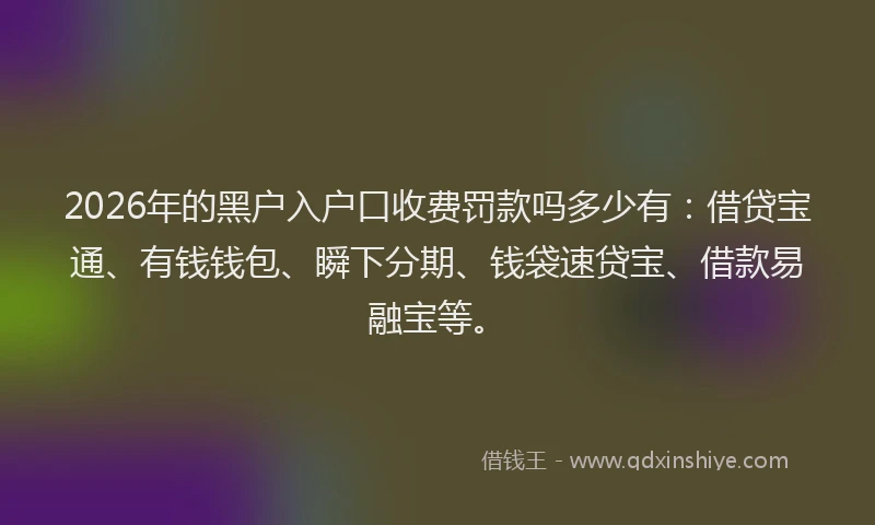 2026年的黑户入户口收费罚款吗多少有：借贷宝通、有钱钱包、瞬下分期、钱袋速贷宝、借款易融宝等。