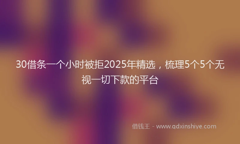 30借条一个小时被拒2025年精选,梳理5个5个无视一切下款的平台