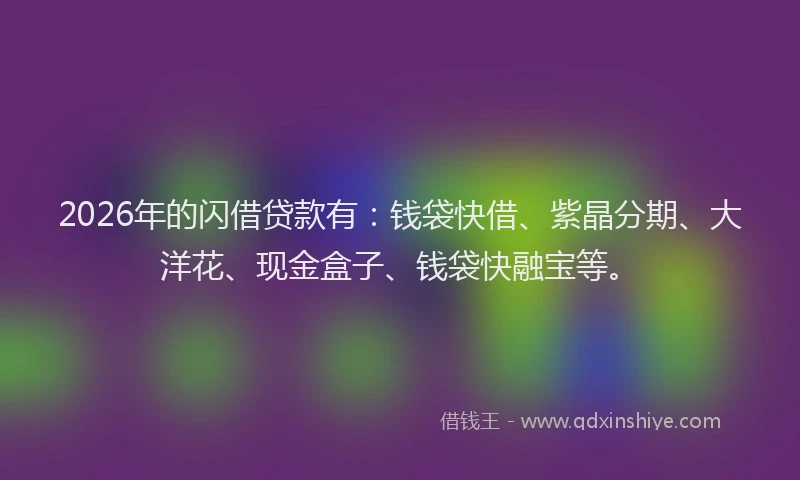 2026年的闪借贷款有：钱袋快借、紫晶分期、大洋花、现金盒子、钱袋快融宝等。