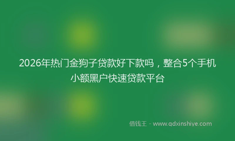 2026年热门金狗子贷款好下款吗，整合5个手机小额黑户快速贷款平台