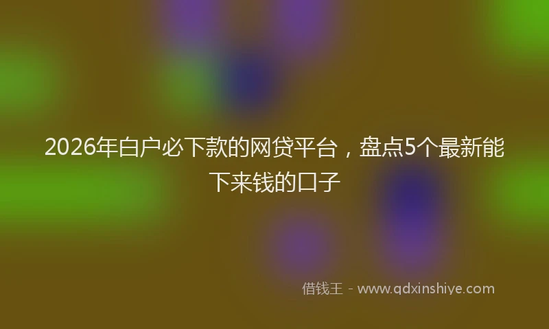 2026年白户必下款的网贷平台，盘点5个最新能下来钱的口子
