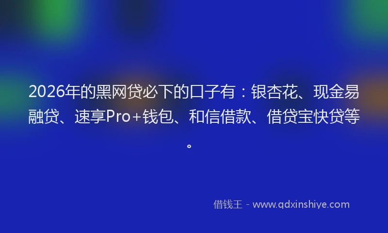 2026年的黑网贷必下的口子有：银杏花、现金易融贷、速享Pro+钱包、和信借款、借贷宝快贷等。