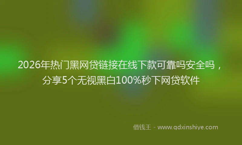 2026年热门黑网贷链接在线下款可靠吗安全吗，分享5个无视黑白100%秒下网贷软件