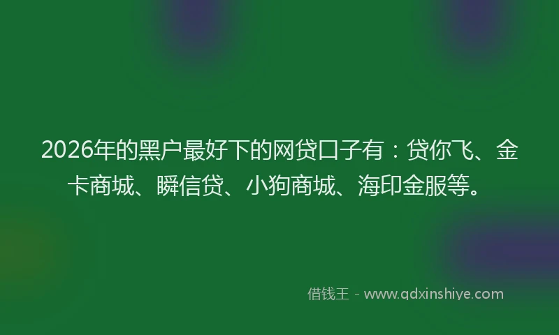 2026年的黑户最好下的网贷口子有：贷你飞、金卡商城、瞬信贷、小狗商城、海印金服等。