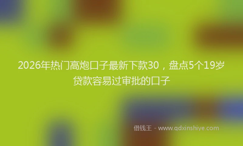 2026年热门高炮口子最新下款30，盘点5个19岁贷款容易过审批的口子