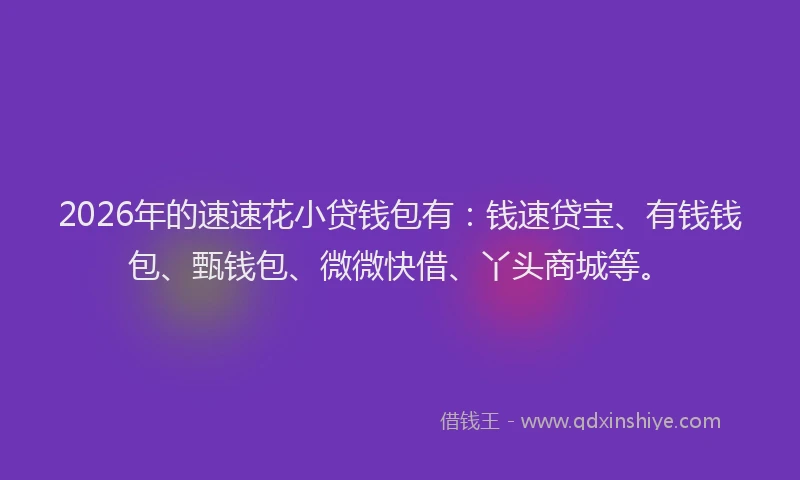 2026年的速速花小贷钱包有:钱速贷宝、有钱钱包、甄钱包、微微快借、丫头商城等。