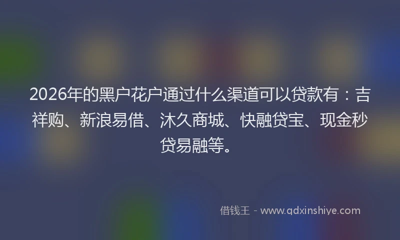 2026年的黑户花户通过什么渠道可以贷款有：吉祥购、新浪易借、沐久商城、快融贷宝、现金秒贷易融等。