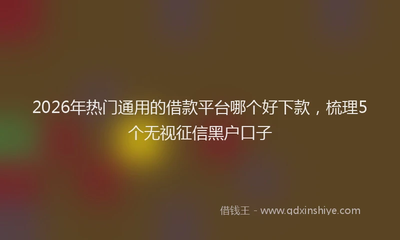 2026年热门通用的借款平台哪个好下款，梳理5个无视征信黑户口子