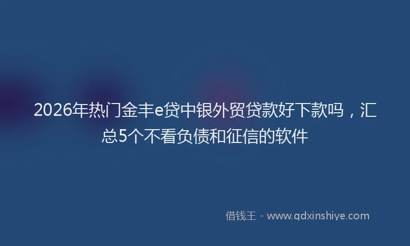 2026年热门金丰e贷中银外贸贷款好下款吗，汇总5个不看负债和征信的软件