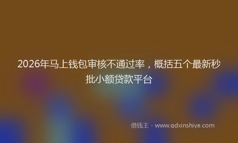 2026年马上钱包审核不通过率，概括五个最新秒批小额贷款平台