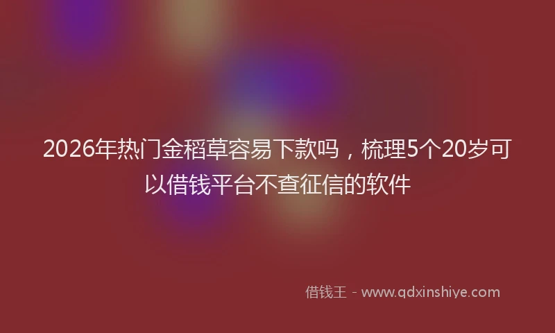 2026年热门金稻草容易下款吗，梳理5个20岁可以借钱平台不查征信的软件
