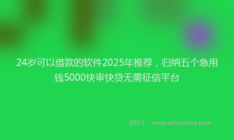 24岁可以借款的软件2025年推荐，归纳五个急用钱5000快审快贷无需征信平台