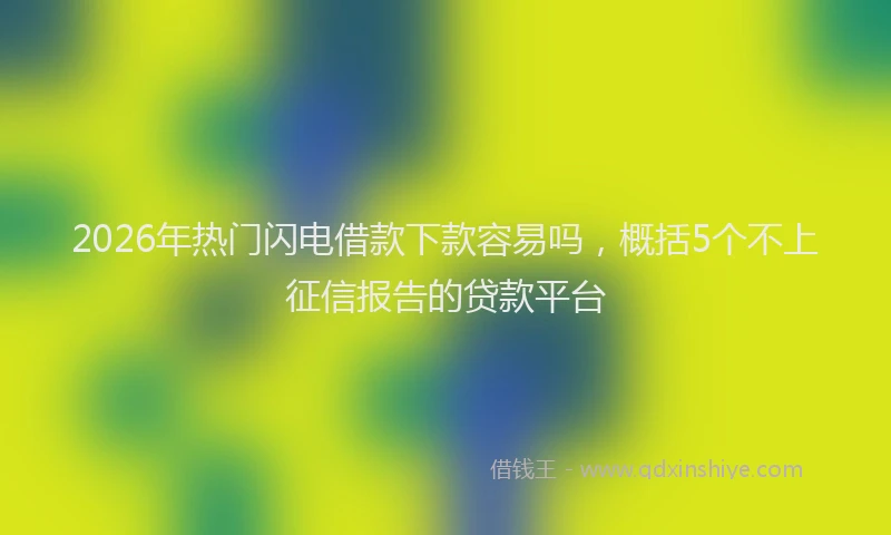 2026年热门闪电借款下款容易吗，概括5个不上征信报告的贷款平台