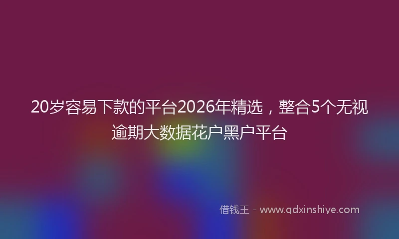 20岁容易下款的平台2026年精选，整合5个无视逾期大数据花户黑户平台