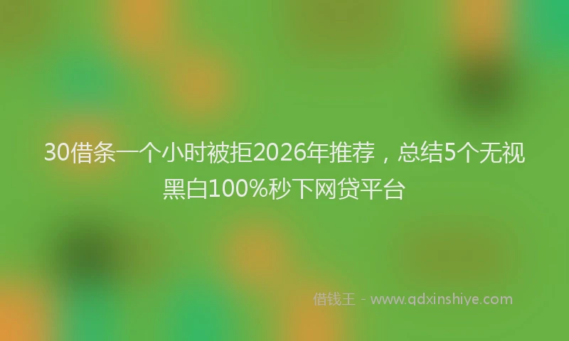 30借条一个小时被拒2026年推荐，总结5个无视黑白100%秒下网贷平台