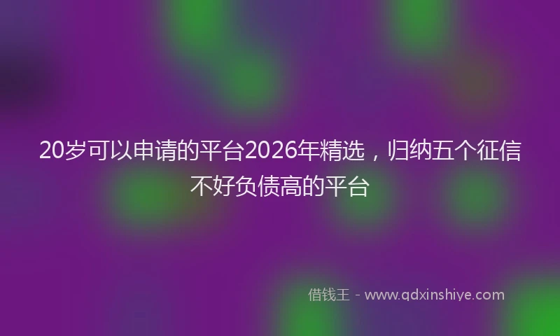 20岁可以申请的平台2026年精选，归纳五个征信不好负债高的平台