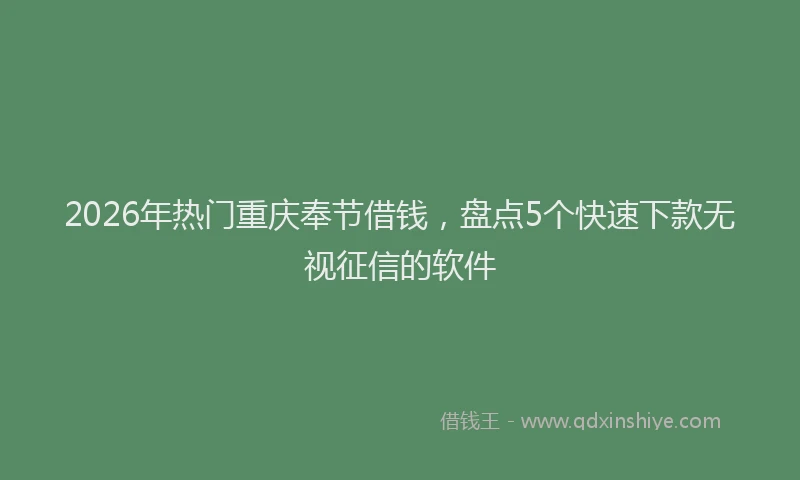 2026年热门重庆奉节借钱，盘点5个快速下款无视征信的软件