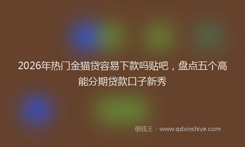 2026年热门金猫贷容易下款吗贴吧，盘点五个高能分期贷款口子新秀