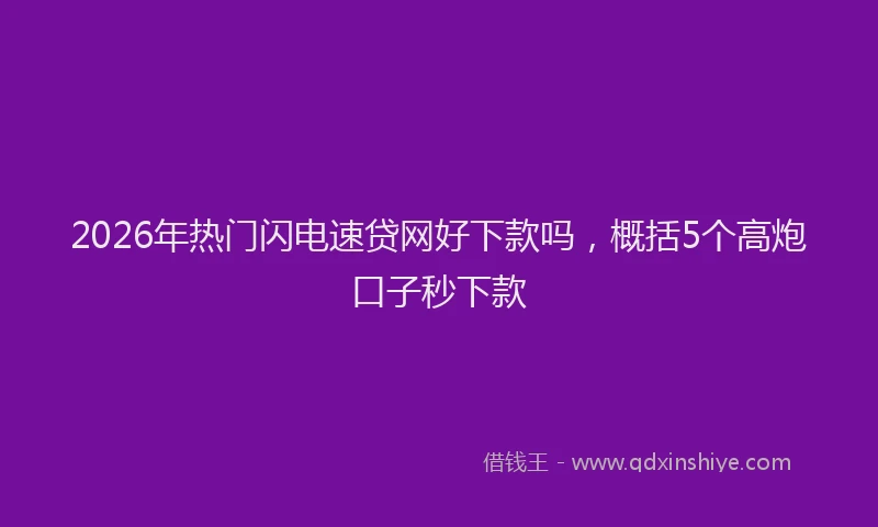 2026年热门闪电速贷网好下款吗，概括5个高炮口子秒下款