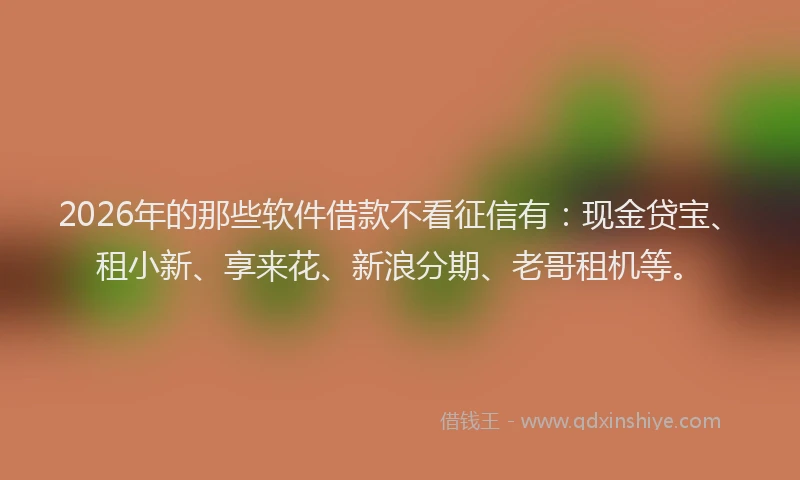 2026年的那些软件借款不看征信有：现金贷宝、租小新、享来花、新浪分期、老哥租机等。
