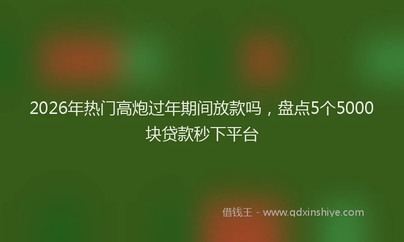 2026年热门高炮过年期间放款吗，盘点5个5000块贷款秒下平台