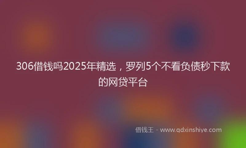 306借钱吗2025年精选，罗列5个不看负债秒下款的网贷平台