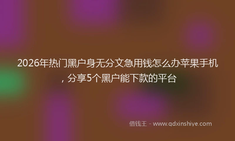 2026年热门黑户身无分文急用钱怎么办苹果手机，分享5个黑户能下款的平台