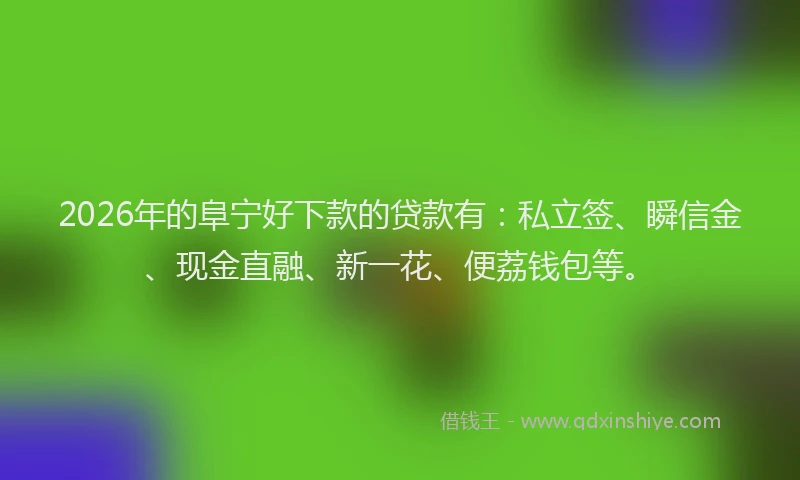 2026年的阜宁好下款的贷款有：私立签、瞬信金、现金直融、新一花、便荔钱包等。