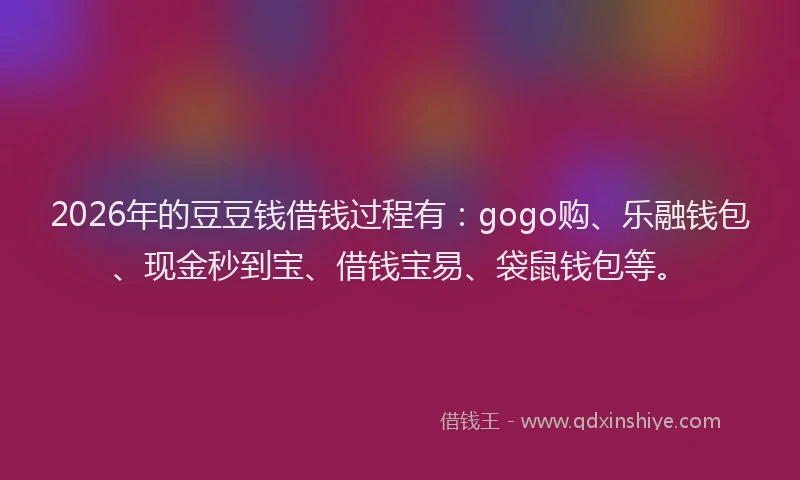 2026年的豆豆钱借钱过程有：gogo购、乐融钱包、现金秒到宝、借钱宝易、袋鼠钱包等。