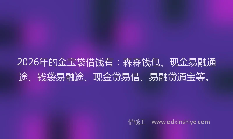 2026年的金宝袋借钱有：森森钱包、现金易融通途、钱袋易融途、现金贷易借、易融贷通宝等。