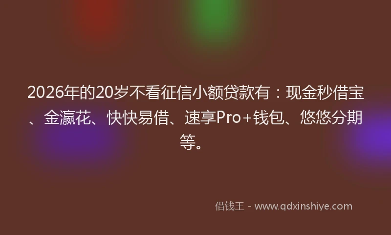 2026年的20岁不看征信小额贷款有：现金秒借宝、金瀛花、快快易借、速享Pro+钱包、悠悠分期等。