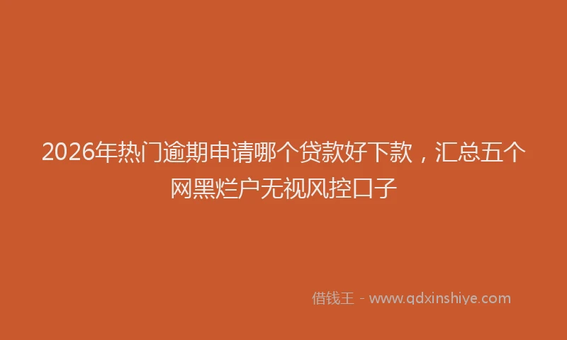 2026年热门逾期申请哪个贷款好下款，汇总五个网黑烂户无视风控口子