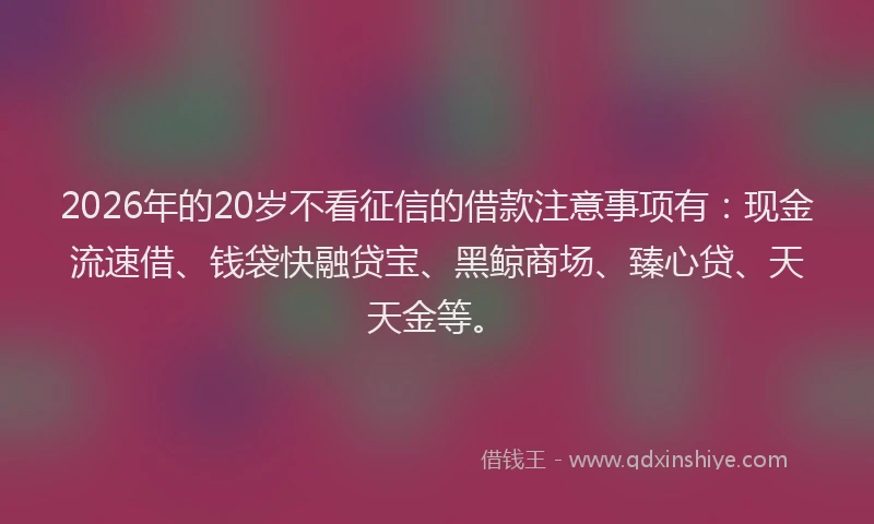 2026年的20岁不看征信的借款注意事项有:现金流速借、钱袋快融贷宝、黑鲸商场、臻心贷、天天金等。
