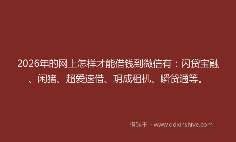 2026年的网上怎样才能借钱到微信有：闪贷宝融、闲猪、超爱速借、玥成租机、瞬贷通等。