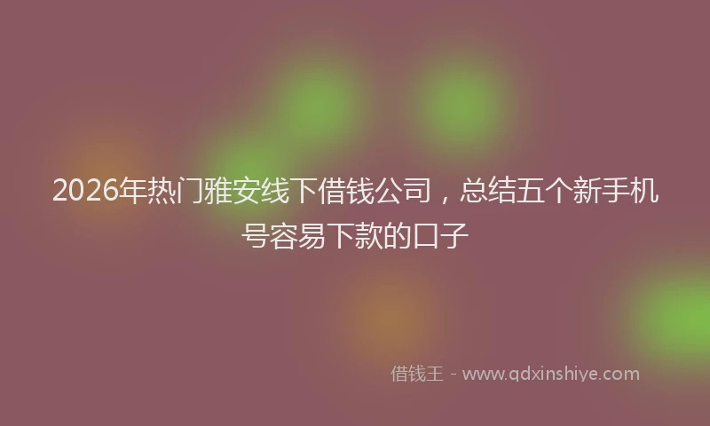 2026年热门雅安线下借钱公司，总结五个新手机号容易下款的口子