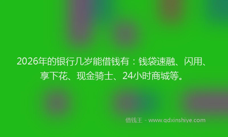 2026年的银行几岁能借钱有：钱袋速融、闪用、享下花、现金骑士、24小时商城等。