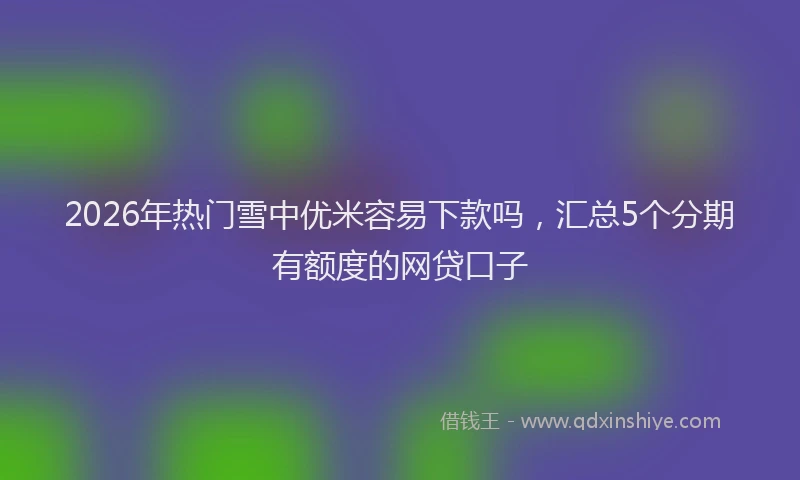 2026年热门雪中优米容易下款吗，汇总5个分期有额度的网贷口子